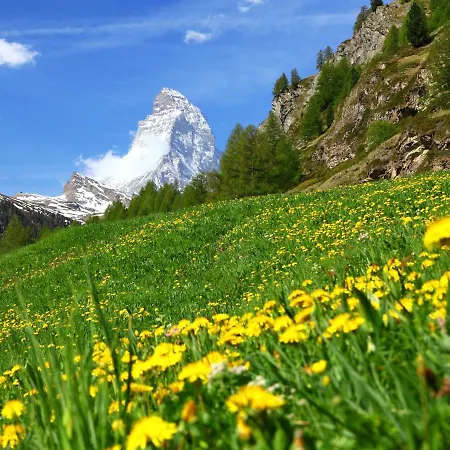 Matten - Utoring-4 By Interhome Apartment Zermatt